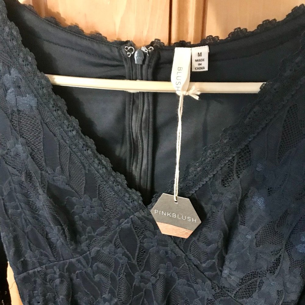 Navy Blue Lace V-Neck Maternity Fitted Dress Pinkblush photoshoot dress